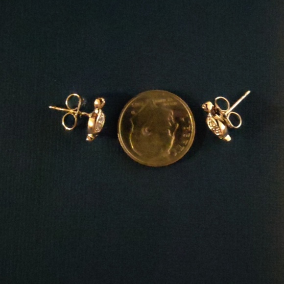 Nature bundle - Picture 3 of 6